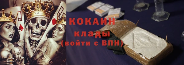 хмурый Алексин