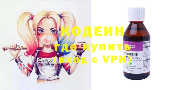 хмурый Алексин
