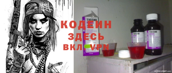 хмурый Алексин