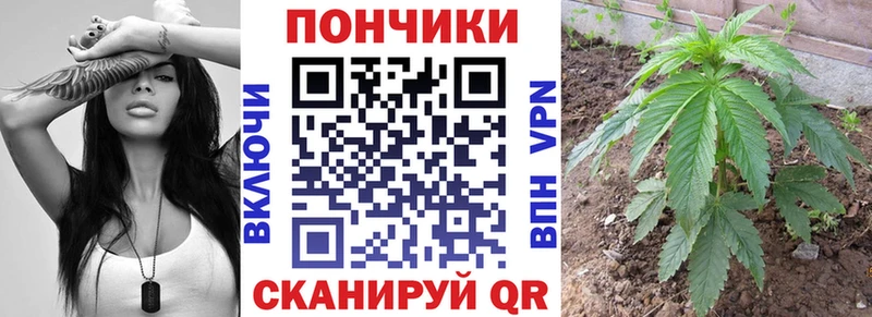 дарк нет состав  Фролово  МАРИХУАНА индика 